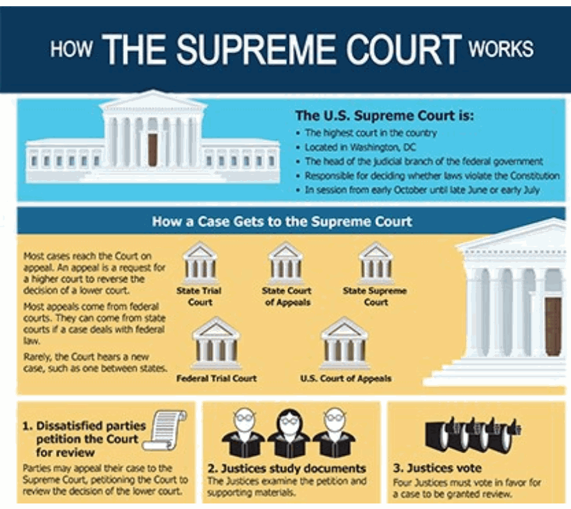 How Supreme Court Works1